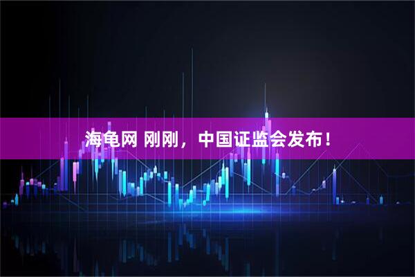 海龟网 刚刚，中国证监会发布！
