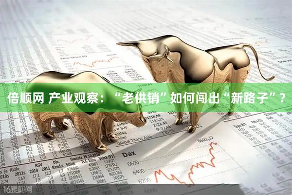 倍顺网 产业观察：“老供销”如何闯出“新路子”？