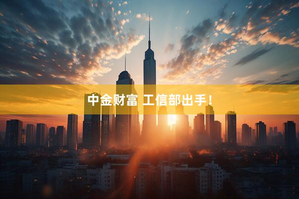 中金财富 工信部出手！