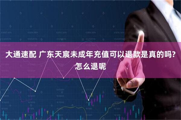 大通速配 广东天宸未成年充值可以退款是真的吗?怎么退呢